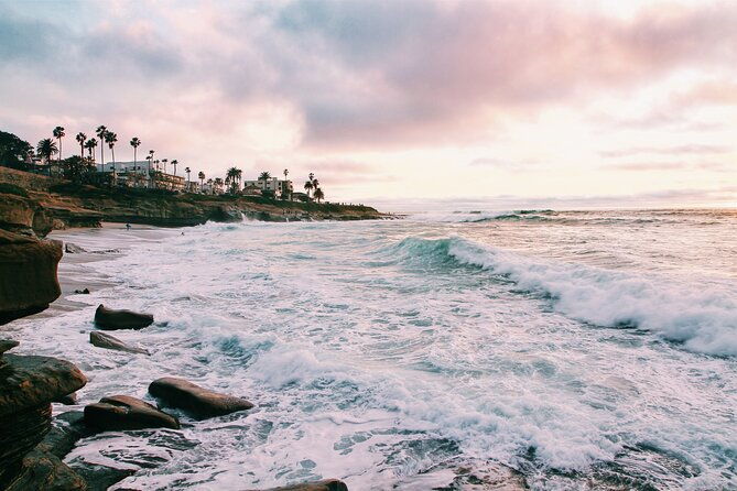 private-half-day-tour-of-san-diego-with-a-driver-guide