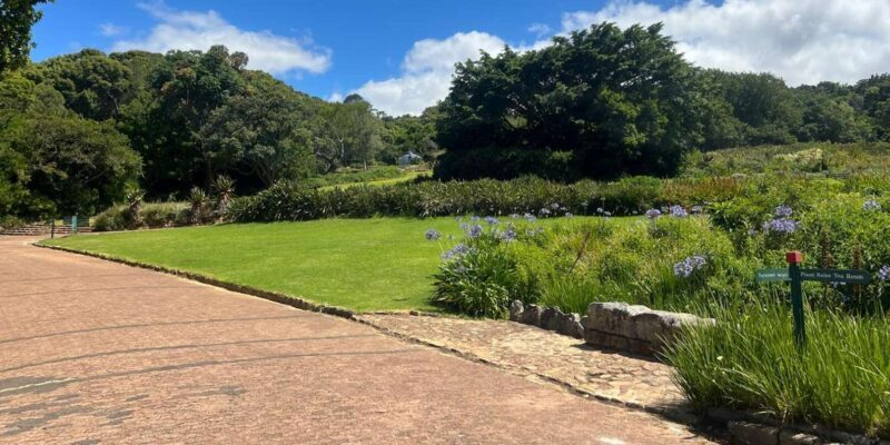 Private Half-day Tour of the Cape Winelands in Stellenbosch - Private Half-day Tour of the Cape Winelands in Stellenbosch