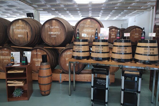 private-half-day-tour-of-wine-fields-in-portugal