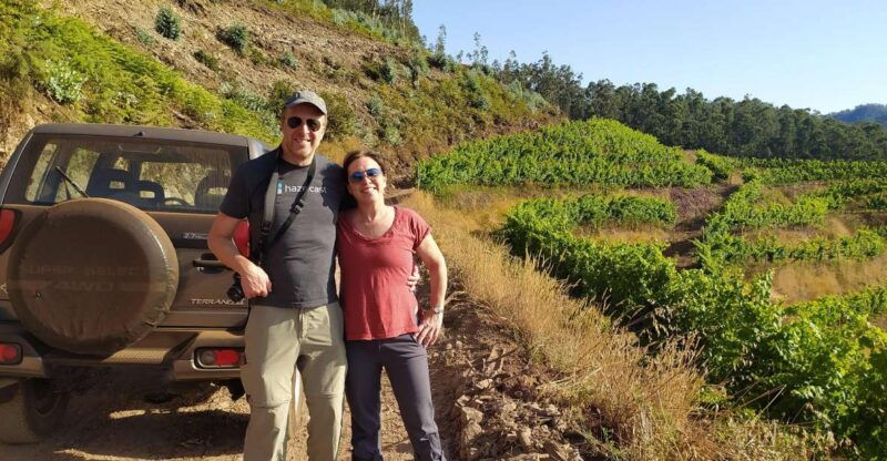 private-half-day-tour-of-wine-fields
