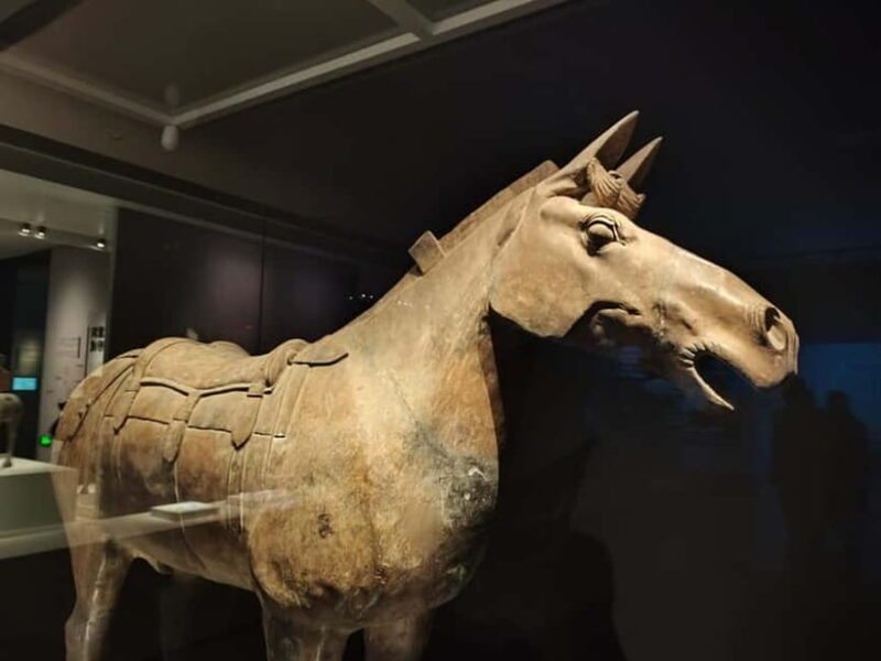 Private Half-Day Tour of Xi'an Terracotta Warriors - Why This Tour Offers Great Value