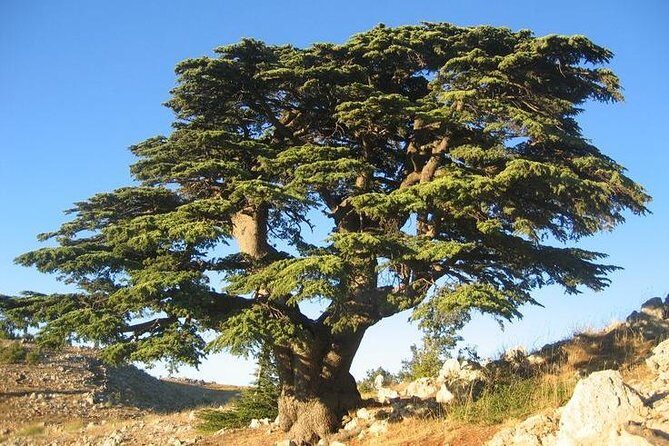 PRIVATE Half-Day Tour to Beiteddine Palace & Deir elQamar - FAQ