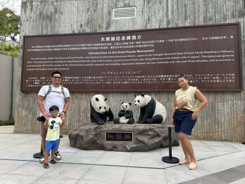 Private Half-Day Tour to Chengdu Panda Base - The Journey Inside the Base