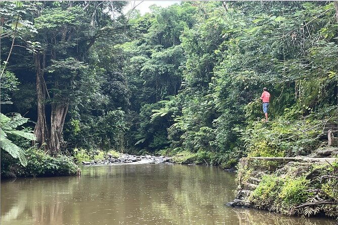 private-half-day-tour-to-el-yunque-rainforest