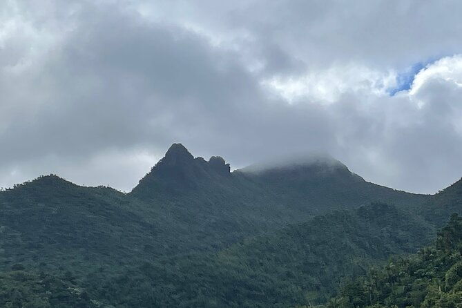 private-half-day-tour-to-el-yunque-rainforest