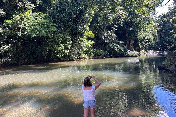 private-half-day-tour-to-el-yunque-rainforest