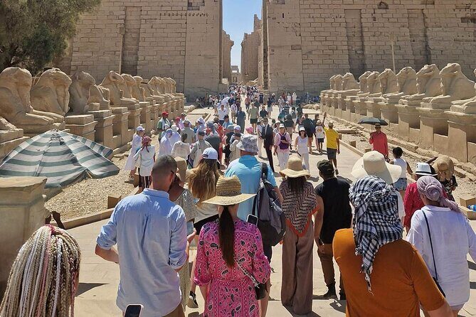 Private Half-Day Tour to Karnak & Luxor Temples - What Travelers Say