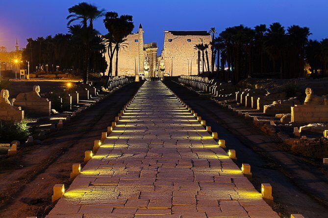 Private Half-Day tour to Karnak temple - Who Will Love This Tour?