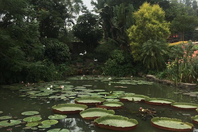 Private Half Day Tour to Lotus Hill from Guangzhou - Why This Tour Offers Good Value