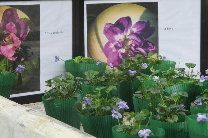 private-half-day-tour-to-parma-the-city-of-perfume