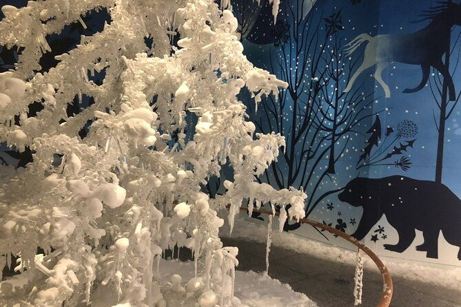 private-half-day-tour-to-swarovski-crystal-world-in-wattens-4