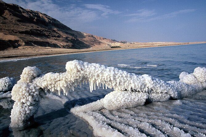 Private Half Day Tour to the Dead Sea - The Sum Up