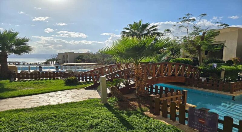 Private Half Day Tour to the Dead Sea from Amman - Authentic Insights from Guests