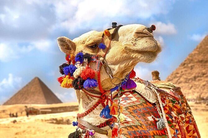 "Private Half-Day Tour to the Giza Pyramids Saqqara and Memphis - Practical Details and Tips