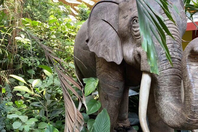 Private Half Day Tour To The Zoo In Giza - Giza Zoo: A Heritage of Over 130 Years