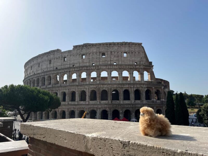 private-half-day-tour-to-vatican