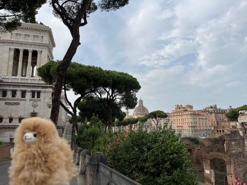 private-half-day-tour-to-vatican