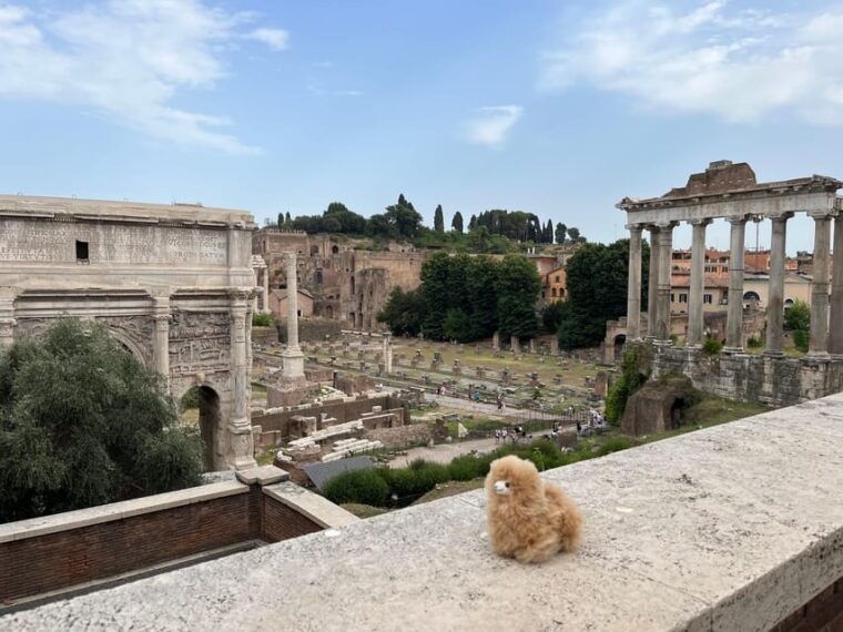 private-half-day-tour-to-vatican