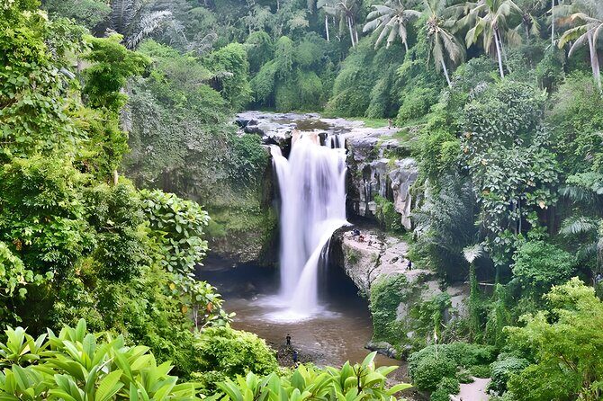 Private Half-Day Tour : Ubud Waterfall Tour Packages - Key Points