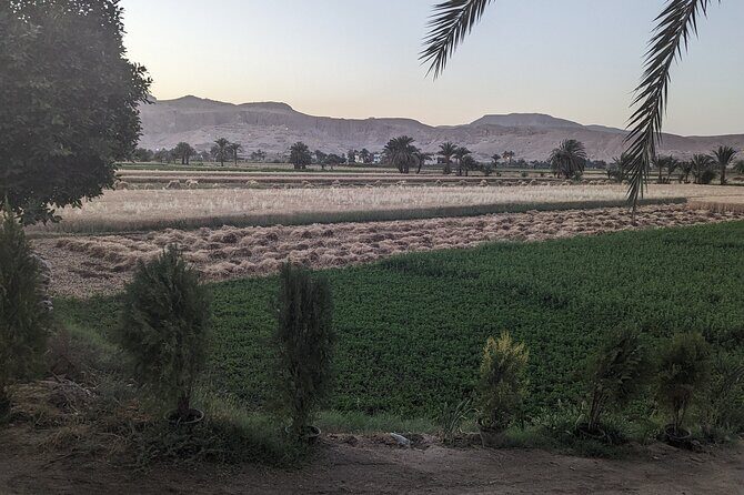 Private Half Day Tour West Bank of the Nile Luxor Egypt - Who Will Love This Tour?