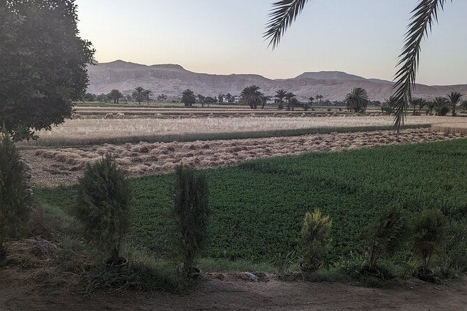 private-half-day-tour-west-bank-of-the-nile-luxor-egypt