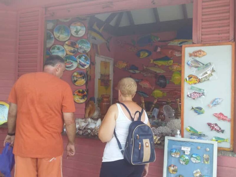Private half day tour with free rum tasting - Authentic Experiences and Insights from Reviews