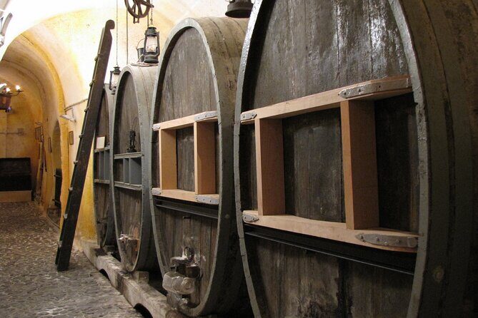 Private Half Day Tour with Wine Tasting in Santorini - Authentic Feedback from Travelers
