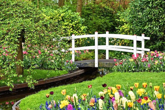 private-half-day-trip-from-amsterdam-to-the-tulip-fields-in-keukenhof