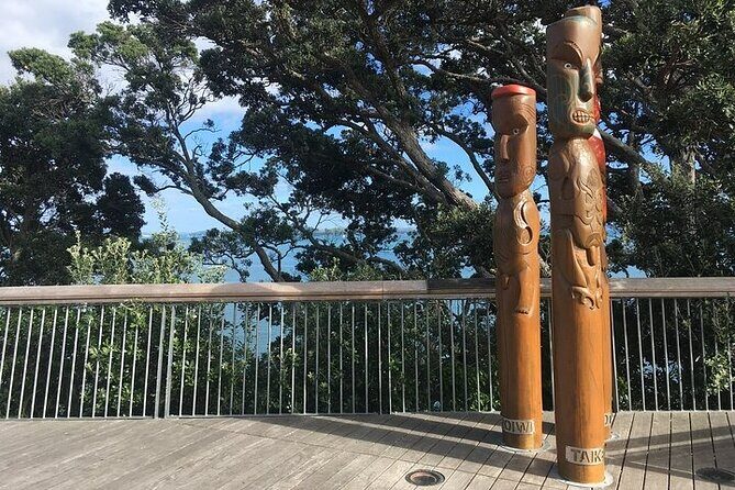 Private Half-Day Volcano Tour from Auckland - Key Points