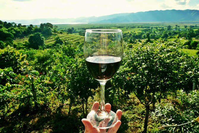 Private Half Day Wine Tasting tour: Road Of The Doges - Key Points