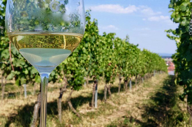 Private Half Day Wine Tasting tour: Road Of The Doges - Comparing to Similar Experiences