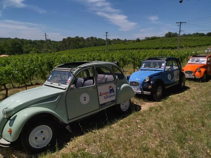 Private Half-Day Wine Tour in Citroën 2CV - The Charm of Traveling in a Citroën 2CV