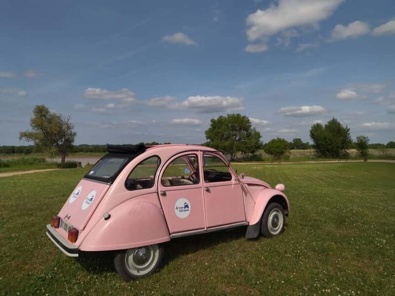 Private Half-Day Wine Tour in Citroën 2CV - Authentic Insights from Reviewers