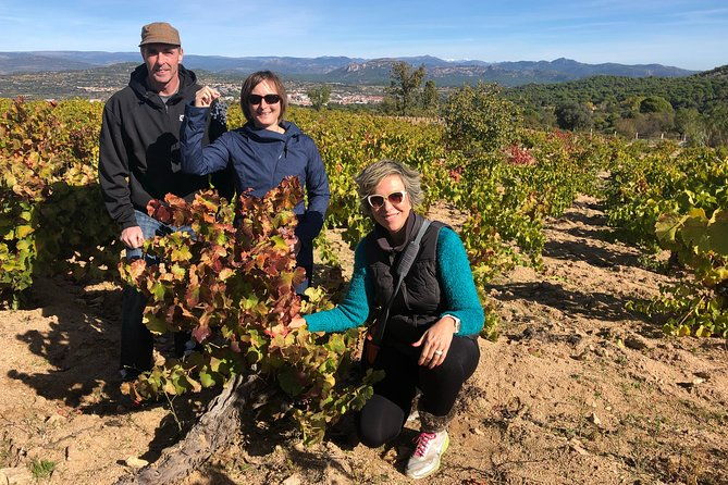 private-half-day-wine-tour-near-madrid-rated-unique-and-personalized-2
