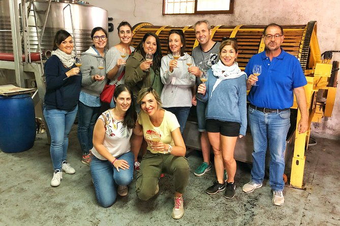 private-half-day-wine-tour-near-madrid-rated-unique-and-personalized-2