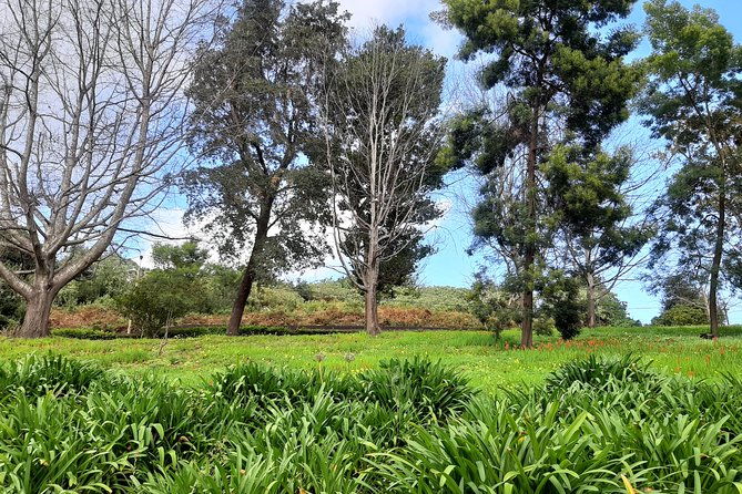 private-halfday-flower-palheiro-gardens-tour-2
