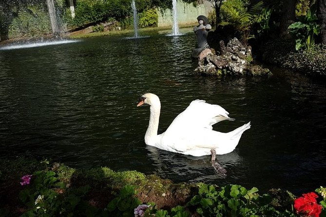 private-halfday-madeira-garden-tour