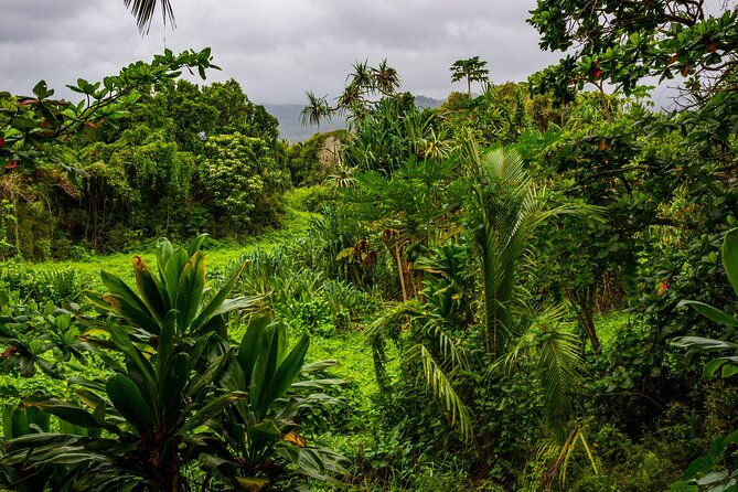 private-halfway-to-hana-waterfall-garden-of-eden-tour