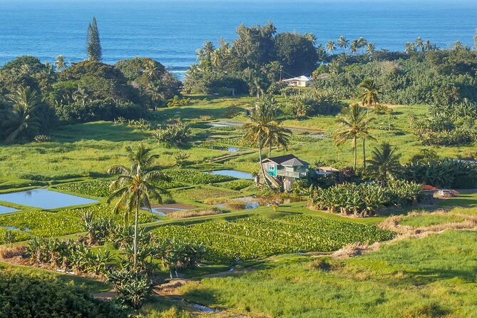 private-halfway-to-hana-waterfall-garden-of-eden-tour