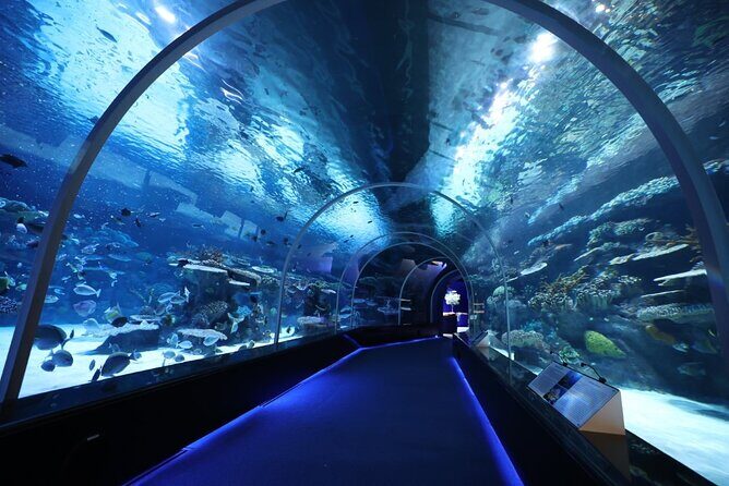 Private Hamad Port Tour in Mesaieed |Aquarium |Maritime Museum - Key Points