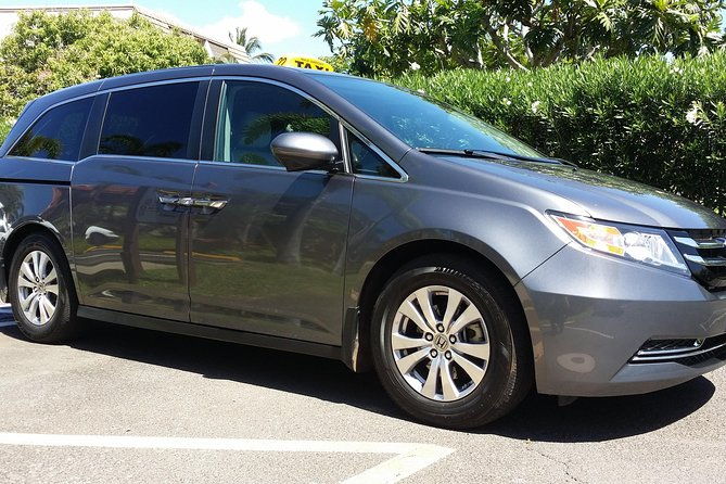 private-hana-ocean-turtle-town-winery-tour-of-maui