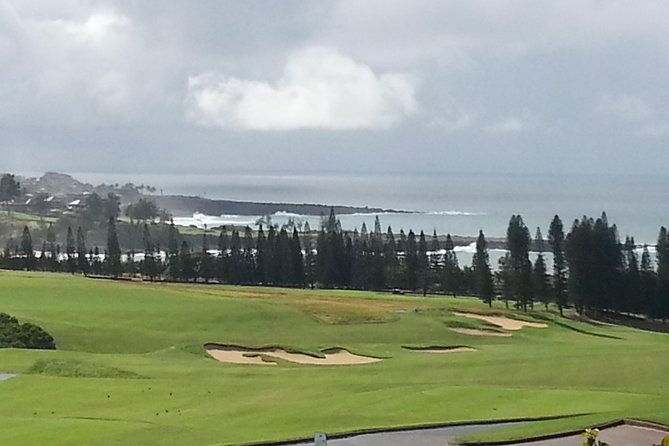 private-hana-ocean-turtle-town-winery-tour-of-maui