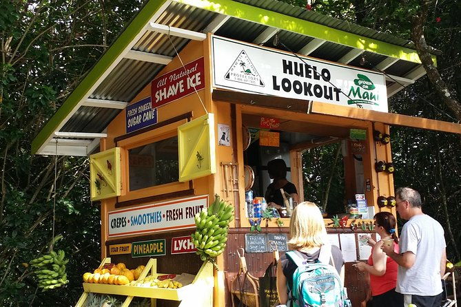 private-hana-ocean-turtle-town-winery-tour-of-maui