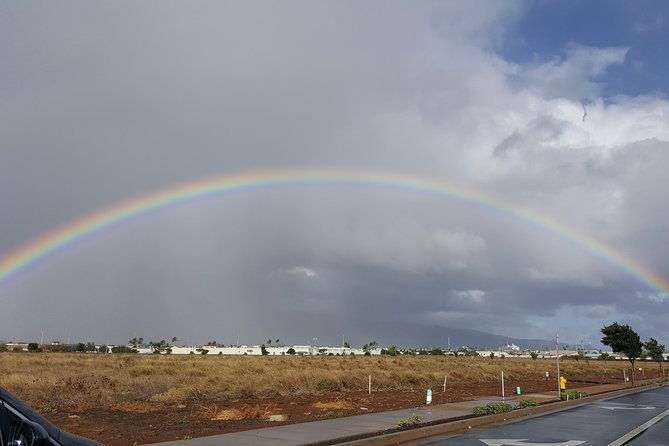 private-hana-ocean-turtle-town-winery-tour-of-maui