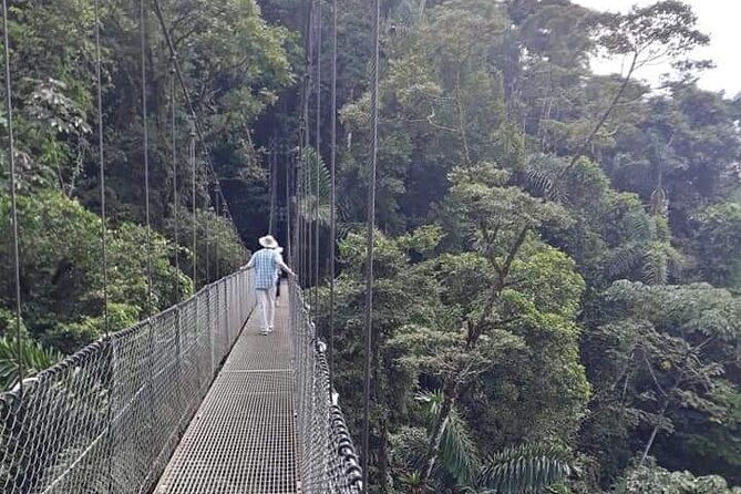 private-hanging-bridges-waterfall-tour-costarrican-lunch
