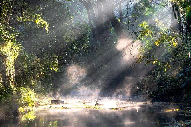 Private Hangzhou Car and Walking Tour - Overview of the Tour Experience