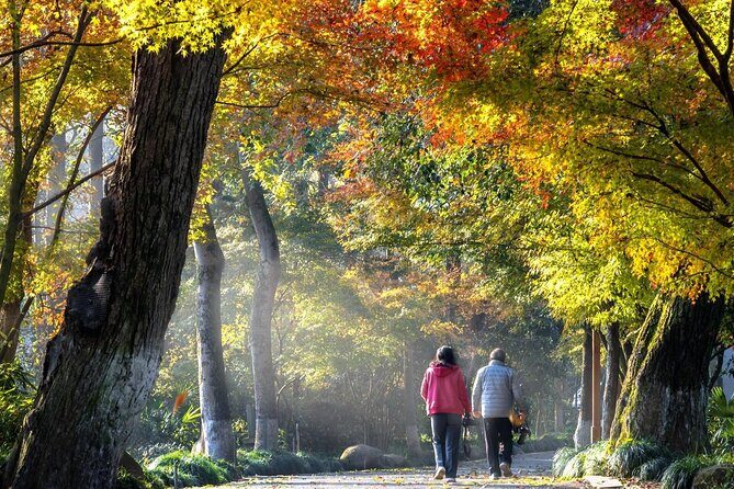 Private Hangzhou Car and Walking Tour - Authentic Insights from Traveler Experiences