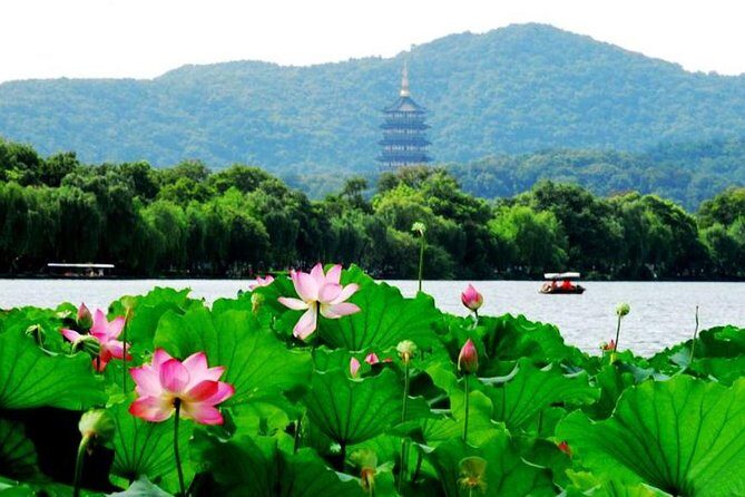 Private Hangzhou Day Tour from Shanghai by Bullet Train - Key Points