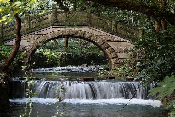 Private Hangzhou Day Tour from Shanghai by Bullet Train - Who Should Consider This Tour?