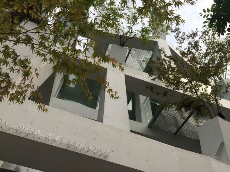 private-harajuku-omotesando-architecture-tour